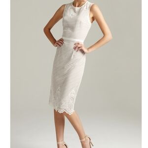 NWT Maggy London Mid Length Lace Sheath Dress Sz 10